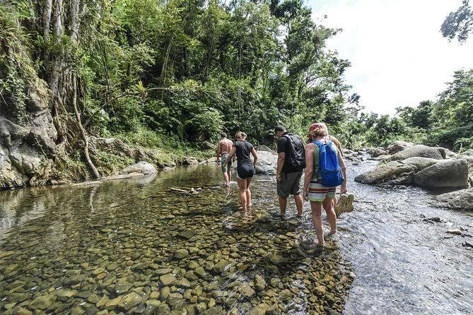 Grupo caminando por un río poco profundo rodeado de bosque tropical